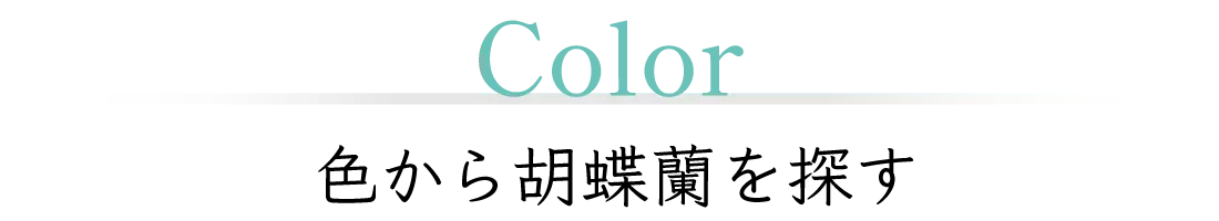 Color 色から胡蝶蘭を探す