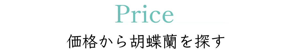 Price 価格から胡蝶蘭を探す