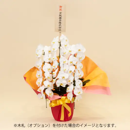 ※木札(オプション)を付けた場合のイメージとなります。