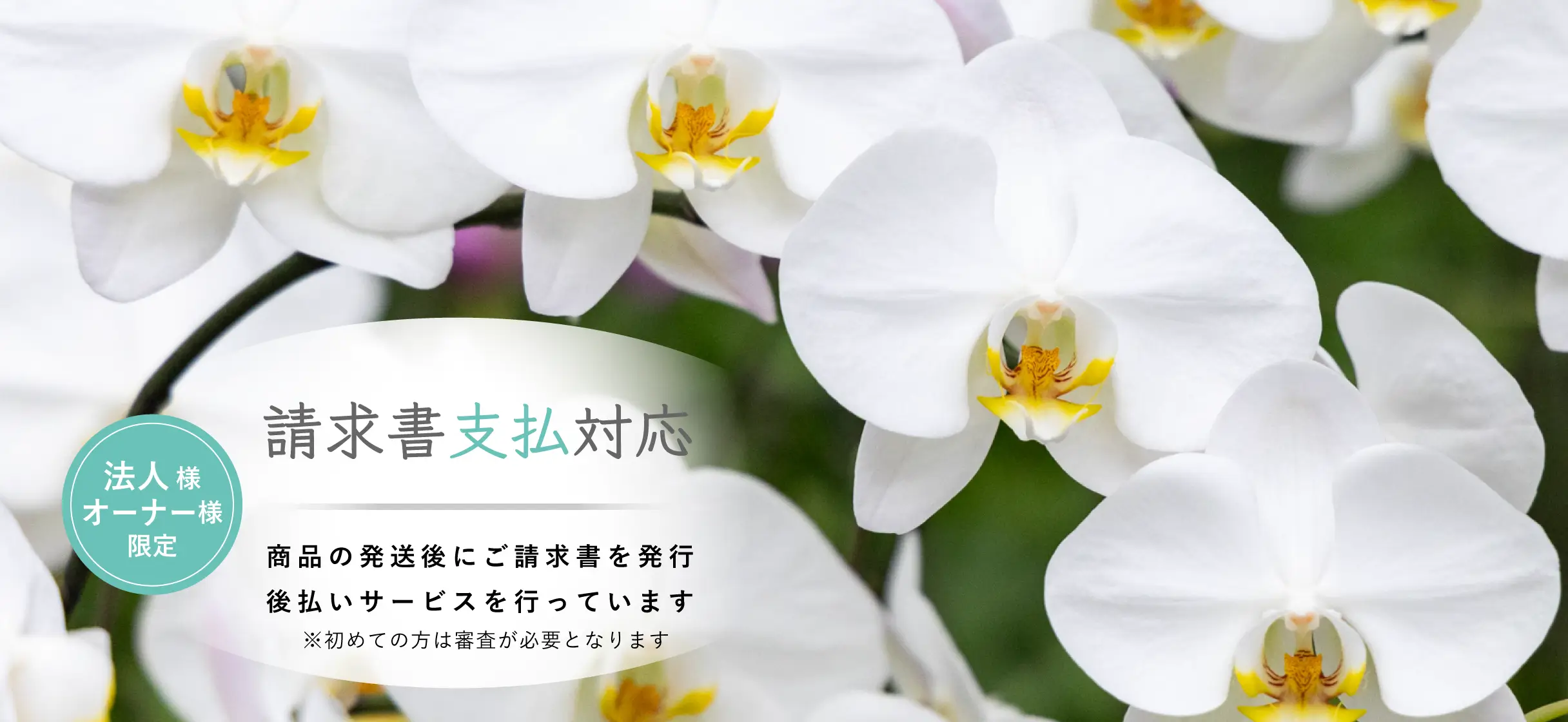 請求書支払対応 商品の発送後にご請求書を発行後払いサービスを行っています ※初めての方は審査が必要となります