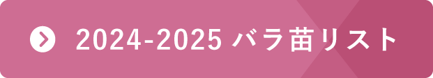 2024-2025バラ苗リスト