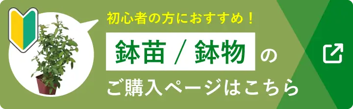 初心者の方におすすめ！ 鉢苗/鉢物のご購入ページはこちら