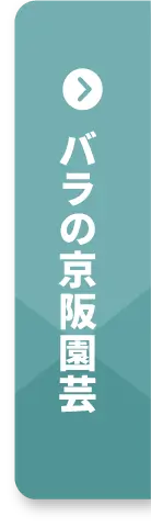 バラの京阪園芸