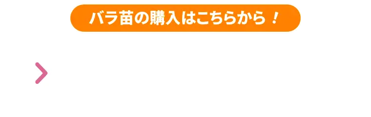 WEBショップ本店