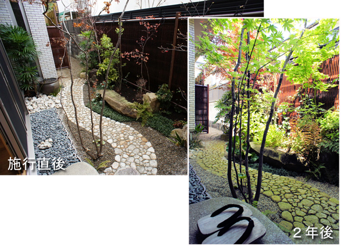 こだわりの詰まったお庭と新築外構 施工２年後の画像あり 京阪園芸株式会社