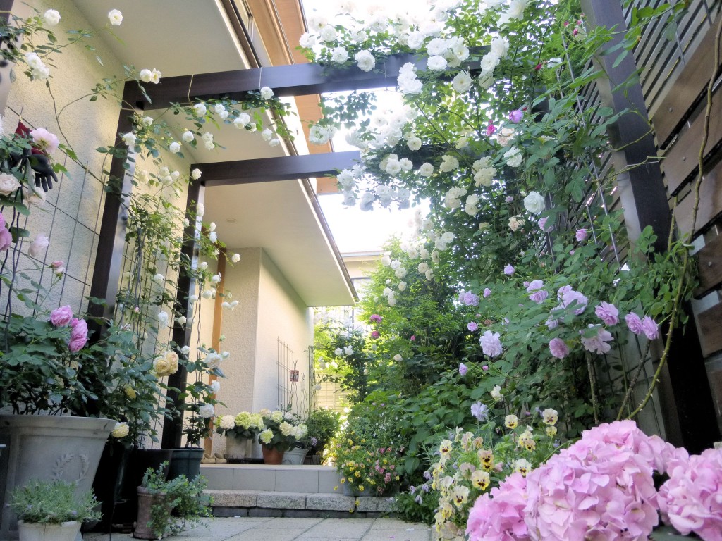 玄関もお庭のひとつ 京阪園芸株式会社