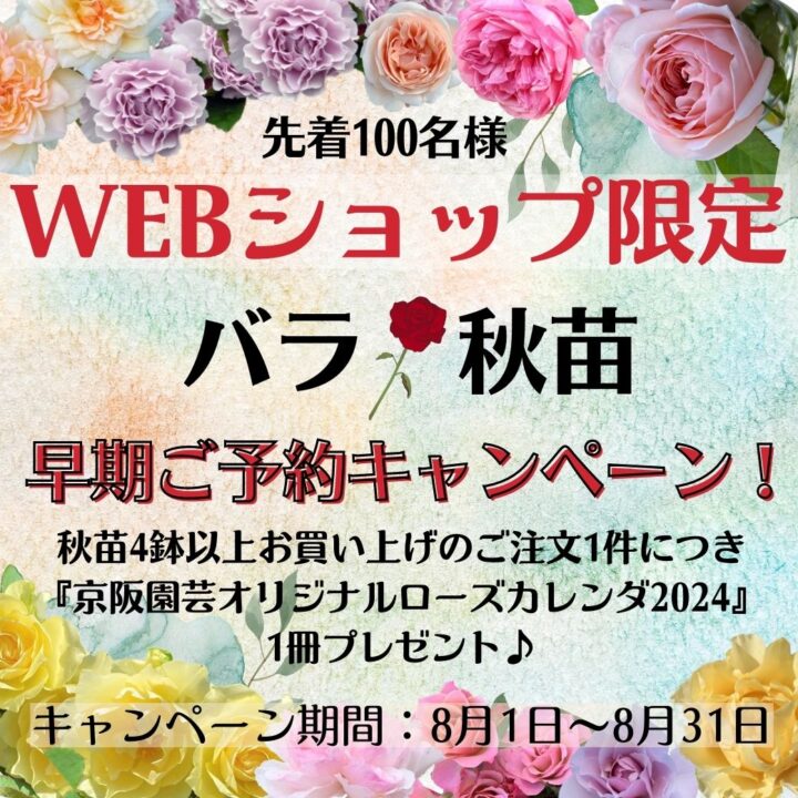 バラ秋苗予約受付開始いたしました！！ – 京阪園芸ガーデナーズ