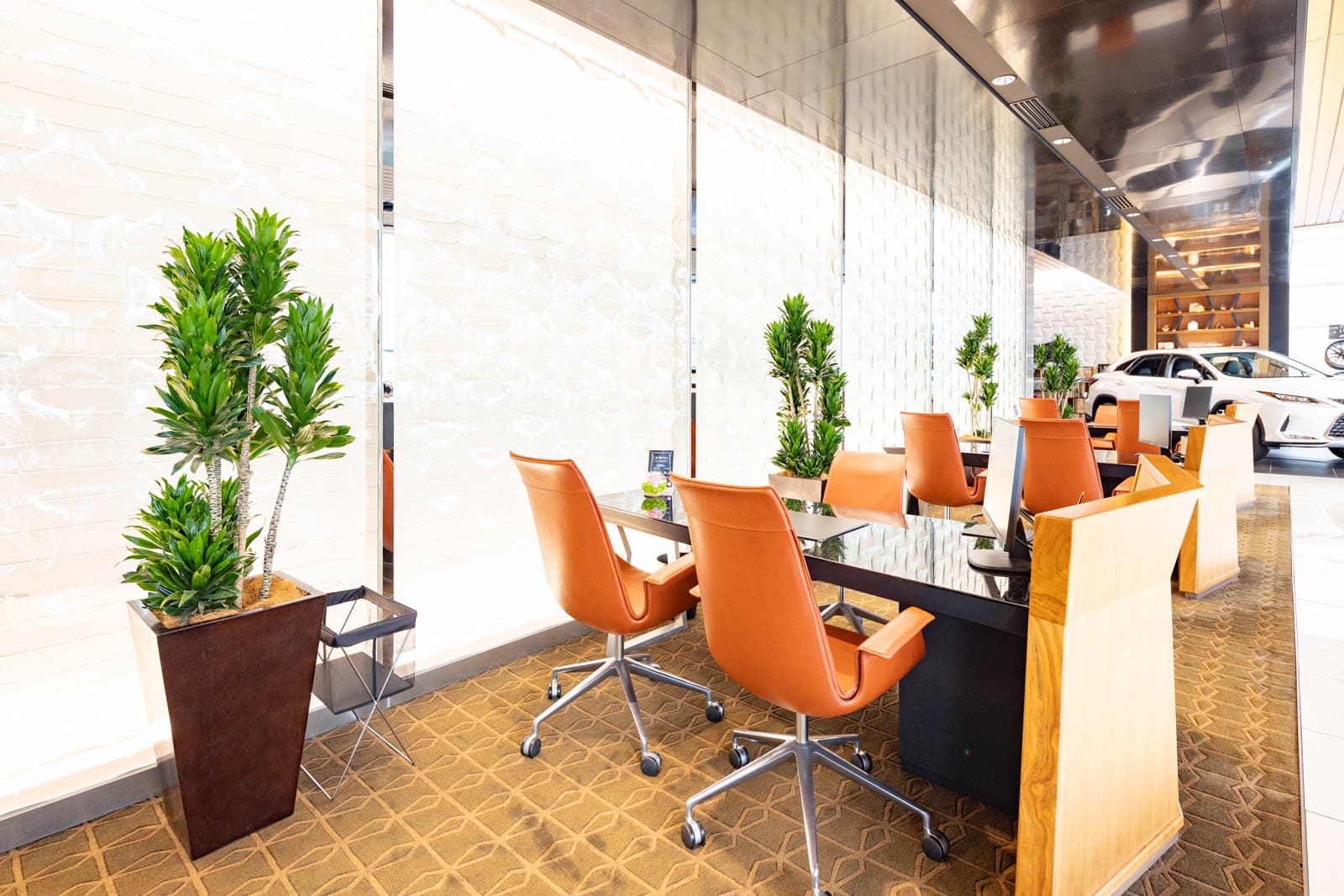 店舗の観葉植物