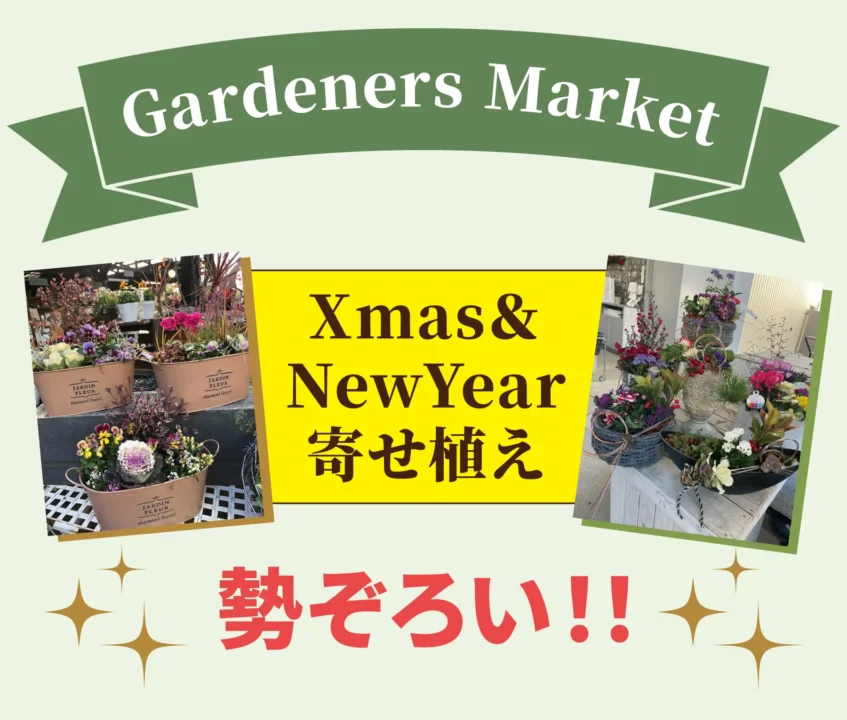 Xmas＆NewYear寄せ植え