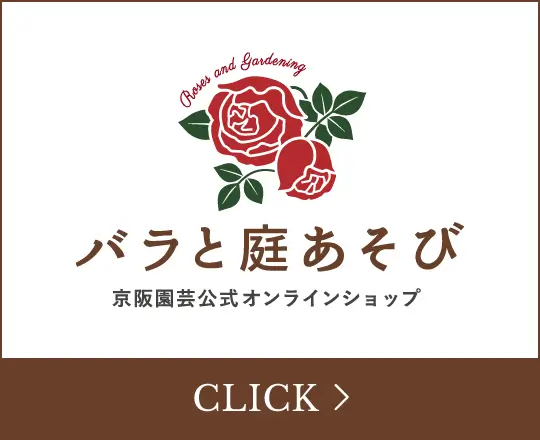 バラと庭あそび